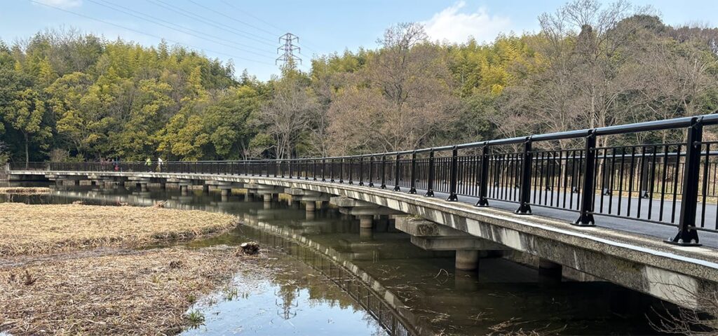 写真：山田池公園 園路橋